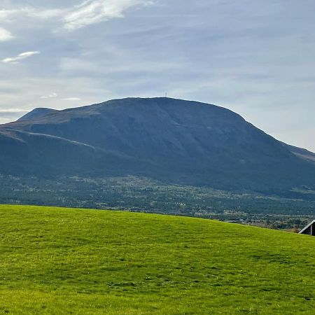 Koselig Leilighet , Med Parkering Og Ski In &Out. Apartman Oppdal Kültér fotó