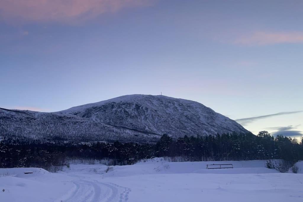 Koselig Leilighet , Med Parkering Og Ski In &Out. Apartman Oppdal Kültér fotó